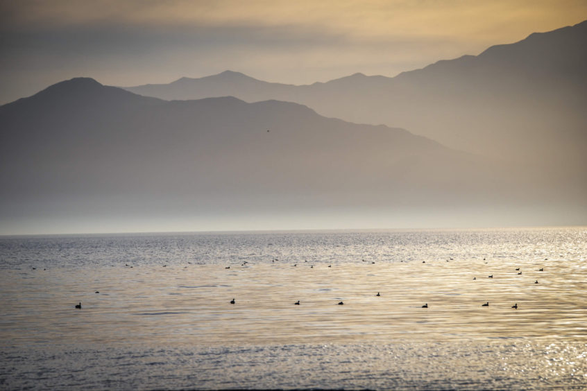 sundown birds flying around mountain views